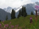 Mountains at the World Conservation Congress